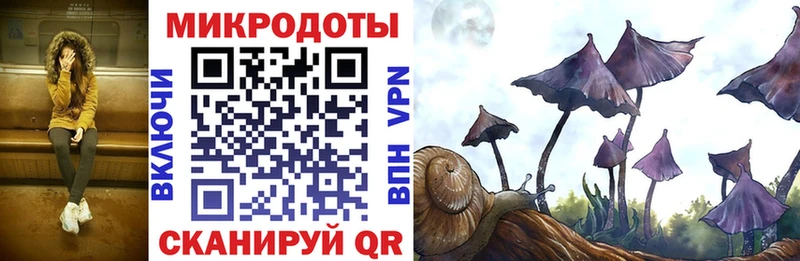 Псилоцибиновые грибы Cubensis  купить   Гулькевичи 